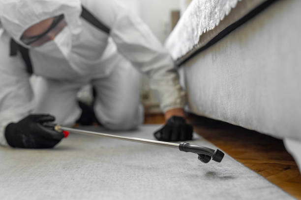 Professional Pest Control technician working in Crownpoint, NM