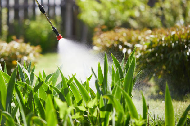 24/7 Emergency Rodent Control experts in Crownpoint, NM