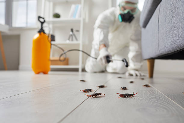 Trusted Termite Control service in Crownpoint, NM - Nex Pest Control